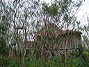 dsc00572